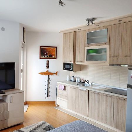 Apartman Lux Sneznik Vrnjacka Banja Bagian luar foto